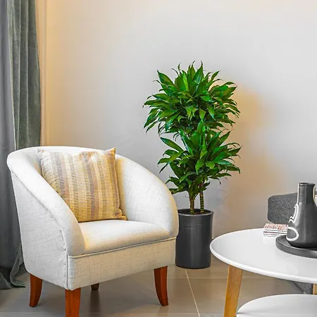 Luxury By The Sea- Euripus Strait Apartment